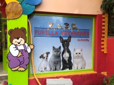 Veteriner Klini�i Vanvejin bask� 