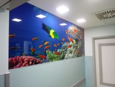 Beylikdüzü Medipol Hastanesi Ameliyathane Cam Baskı Duvar Montajı