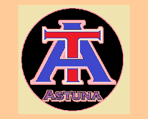 Astuna İnşaat